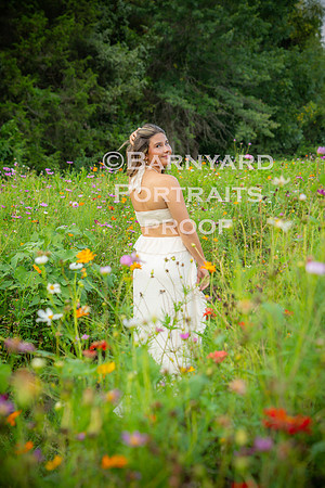 Wildflowers-12